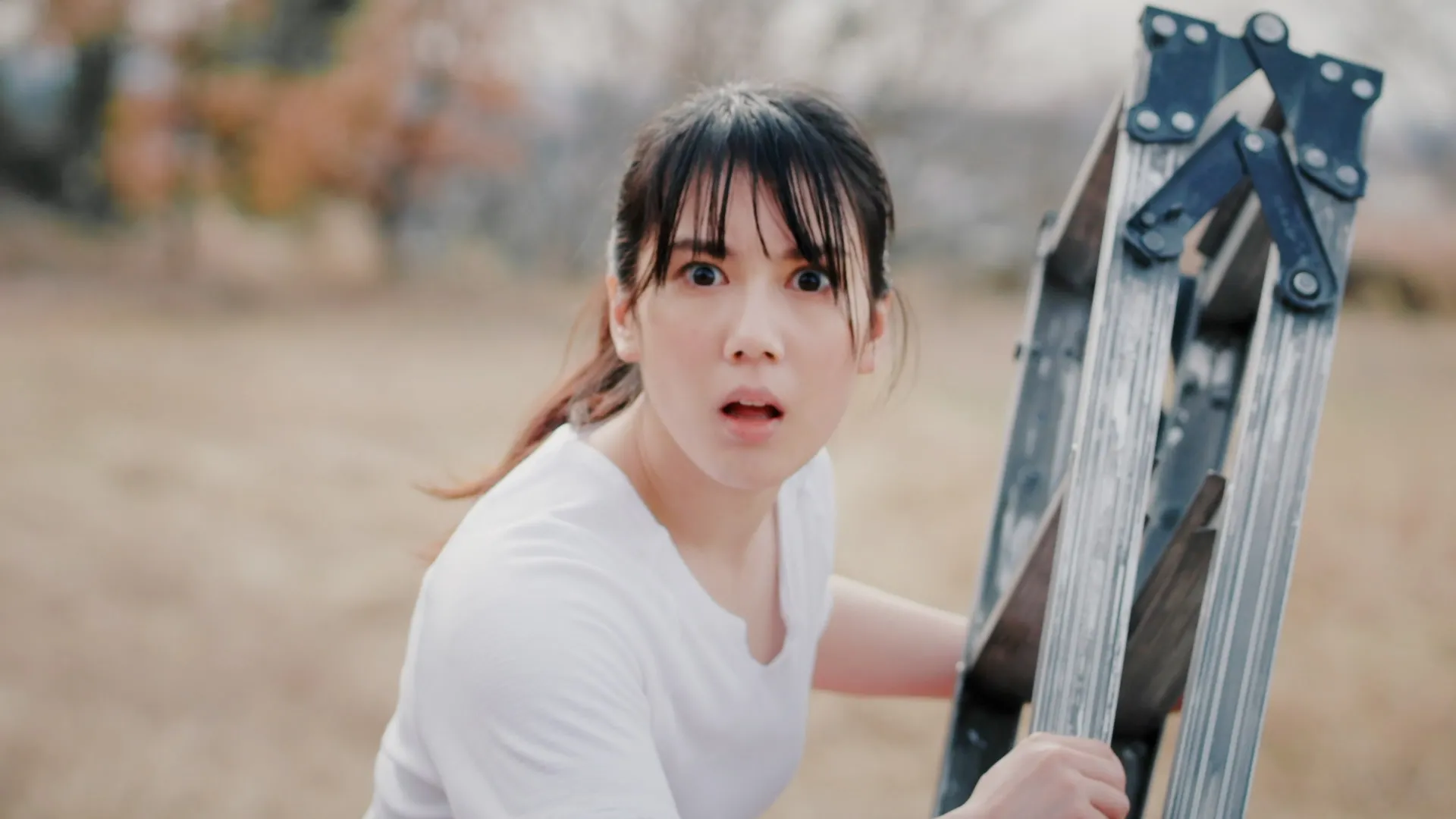 Limited Express (has gone?) 「百鬼夜行」