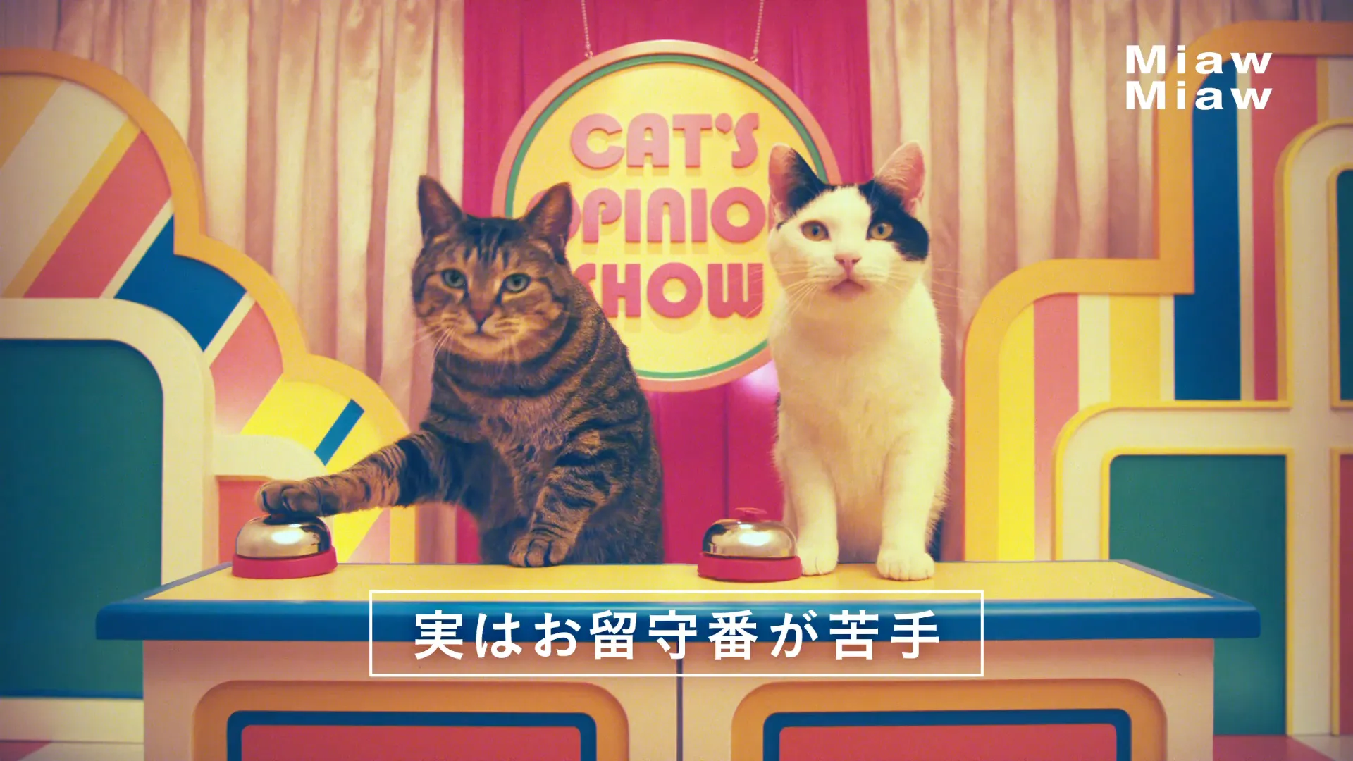 アイシア ミャウミャウ 「クイズ番組」篇